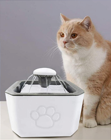 Fonte de Água 2.5L